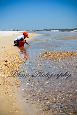 Looking for Shells